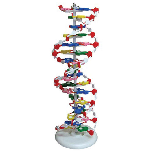 NABLA-BIO-DNA